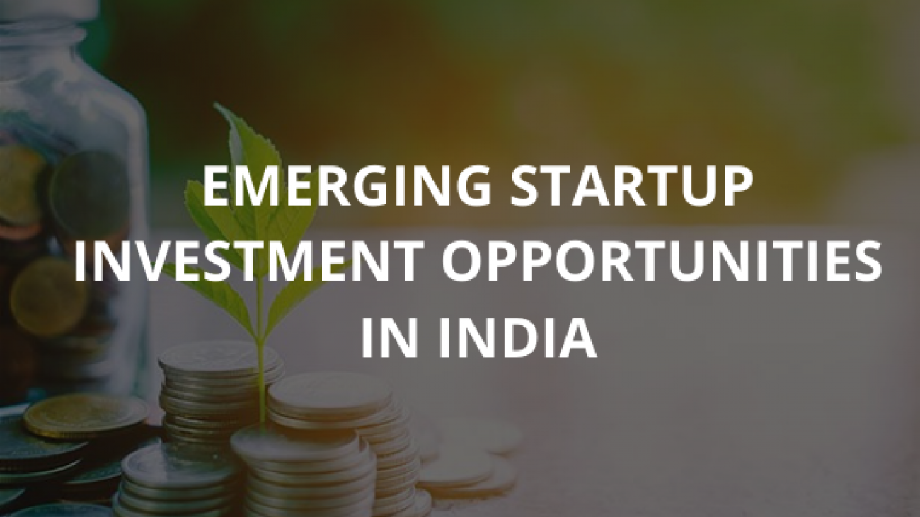 Emerging Startup Investment Opportunities In India